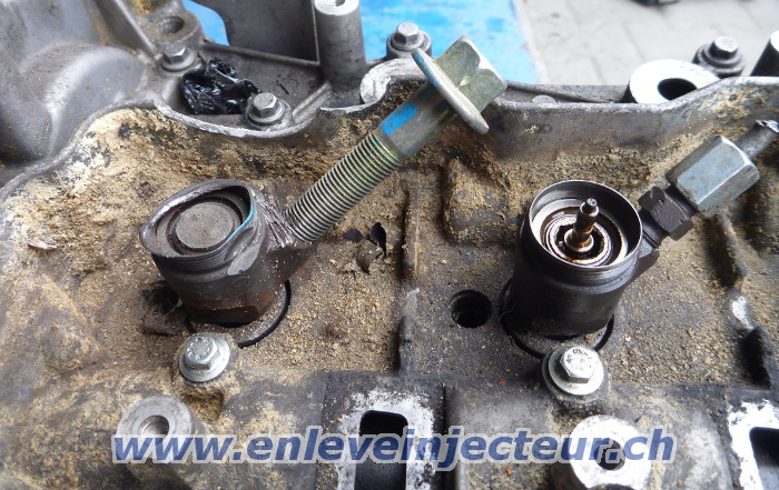 Gebrochen Injektor in Renault Trafic / Opel
                Vivaro 2010-2013 mit 2.0 Motoren